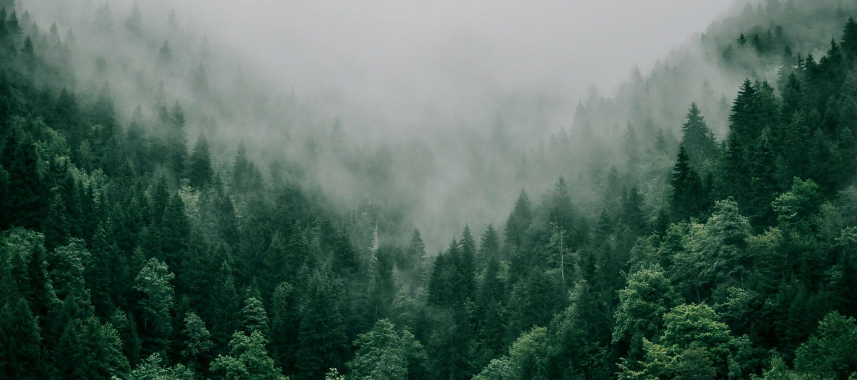 background-image